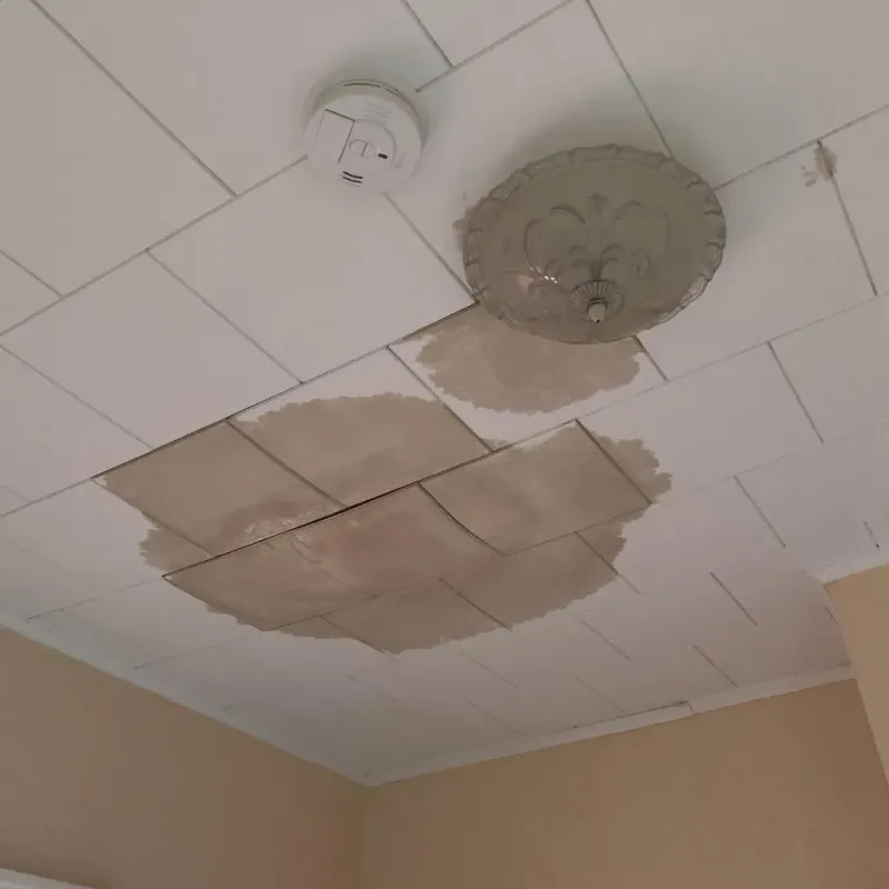 Ceiling Water Damage Repair in Shelbyville, TN