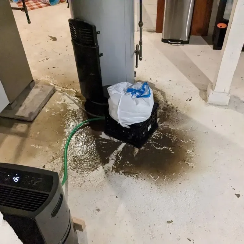 Sewage Backup Cleanup Service in Shelbyville, TN